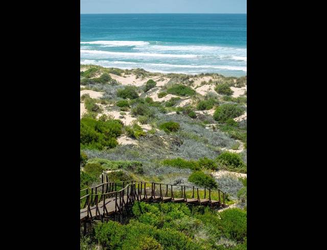 LAND FOR SALE IN MOQUINI